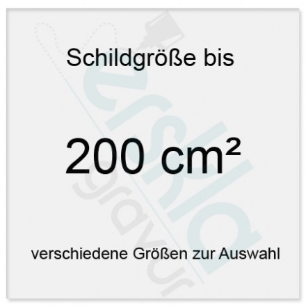 Aluminium Typenschild bis 200 cm² max. 8 Zeilen Schilder mit Gravur tiefgraviert