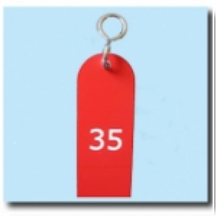 Schlüsselanhänger Kunststoff SA15 Schlüsselanhänger Kunststoff