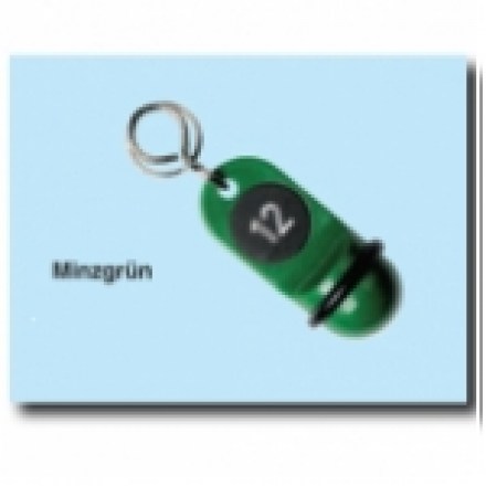 Schlüsselanhänger Kunststoff minzgrün SA17 Schlüsselanhänger Kunststoff